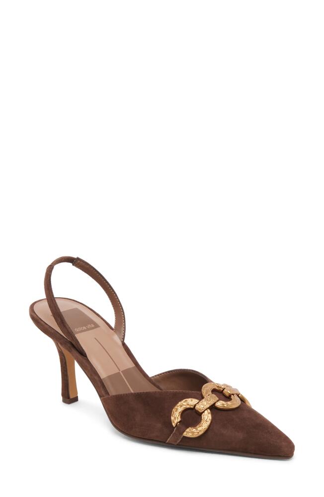 Dolce Vita Haylee Slingback Pointed Toe Pump in Dark Brown Suede Cover