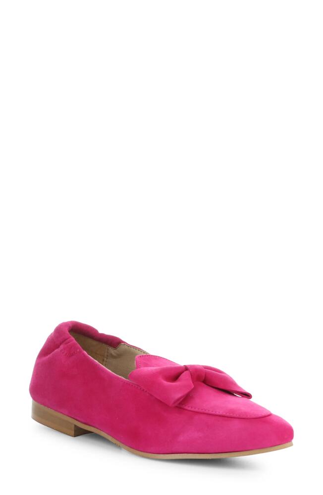 Bos. & Co. Nicole Pointed Toe Loafer in Fuxia Cover