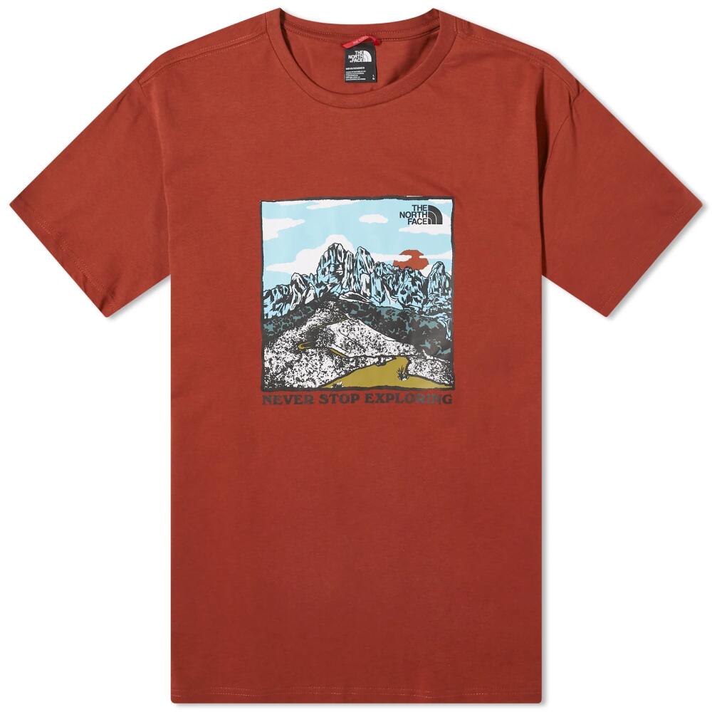 The North Face Men's Graphic T-Shirt in Brandy Brown Cover