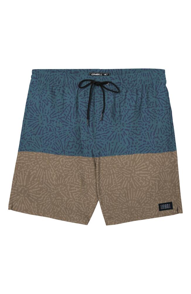 O'Neill Hermosa Board Shorts in Brown 2 Cover