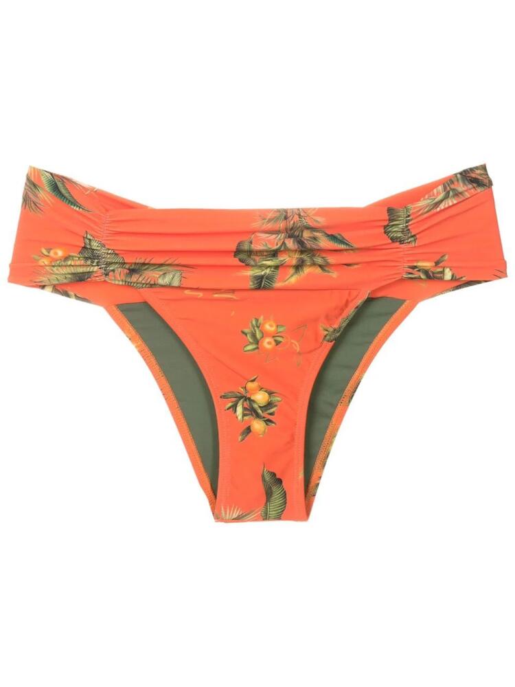 Lygia & Nanny Jasper floral-print bikini bottoms - Orange Cover