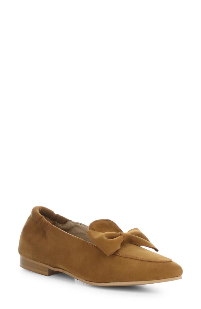 Bos. & Co. Nicole Pointed Toe Loafer in Brandy Cover