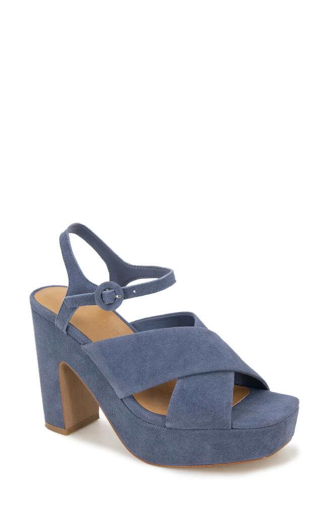 Splendid Pandora Strappy Wedge Sandal in Ash Navy Cover