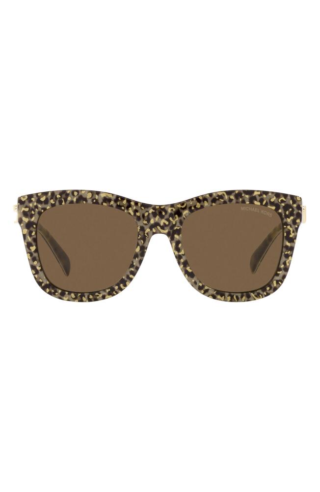 Michael Kors Empire 52mm Square Sunglasses in Brown Cover