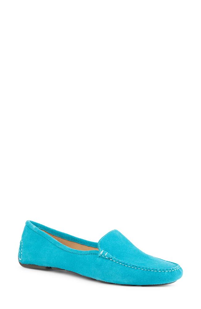 patricia green 'Jillian' Loafer in Turquoise Suede Cover