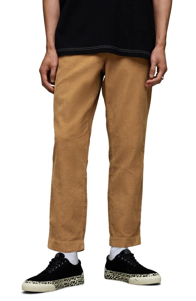 AllSaints Sleid Flat Front Corduroy Pants in Cacao Brown Cover