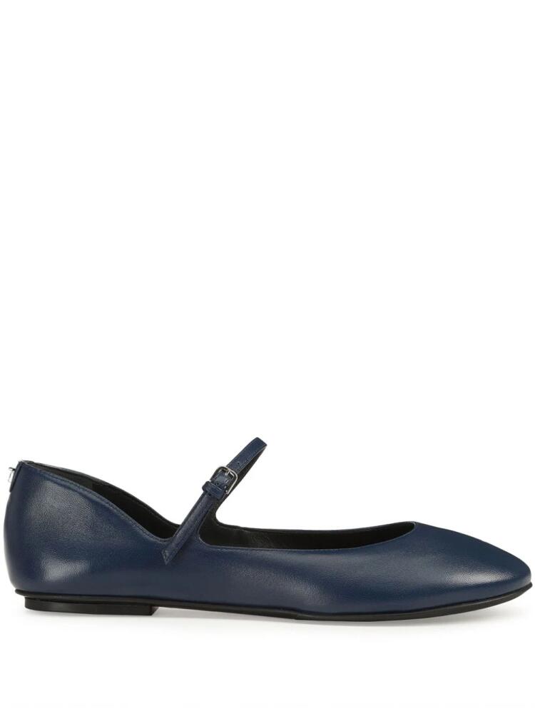 Sergio Rossi Pilier ballerina shoes - Blue Cover