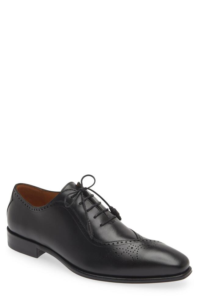 Mezlan Gasset Wingtip Oxford in Black Cover