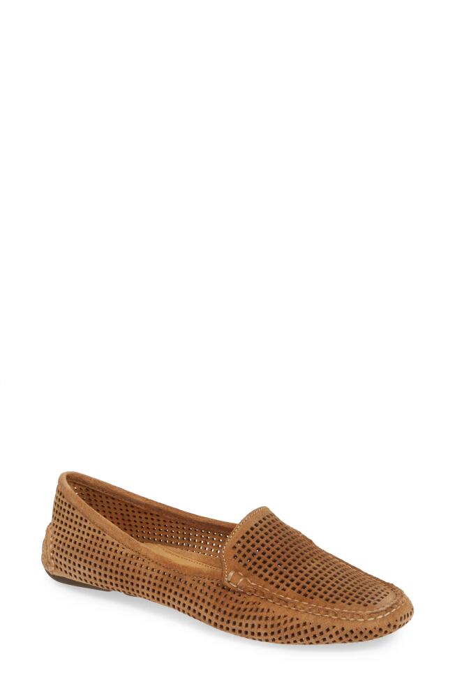 patricia green 'Barrie' Flat in Tan Suede Cover