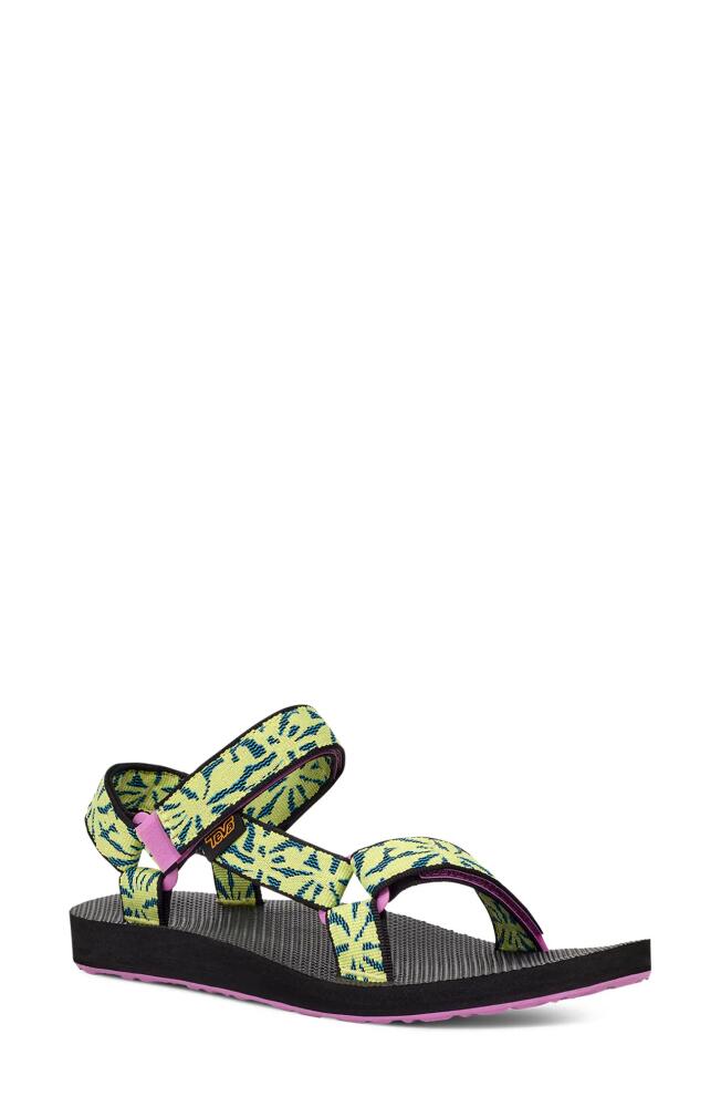 Teva Original Universal Sandal in Beach Floral Wild Lime Cover