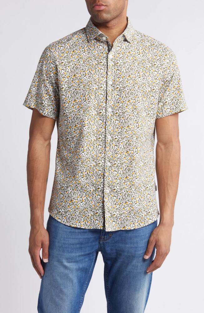 Stone Rose Grapefruit Tree Print Short Sleeve Button-Up Shirt in White Cover