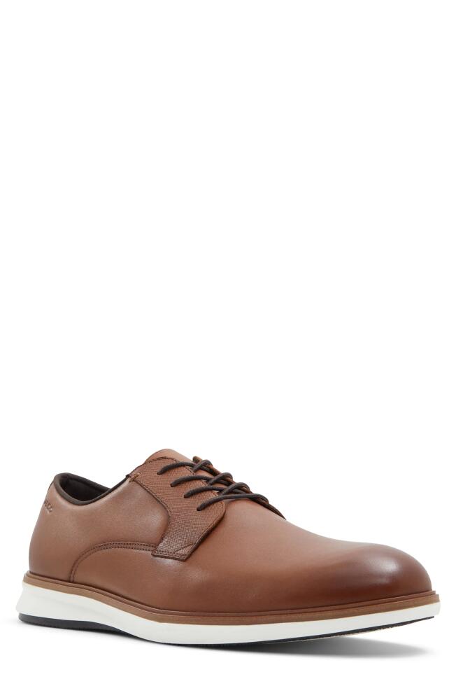 ALDO Red Derby in Cognac Cover