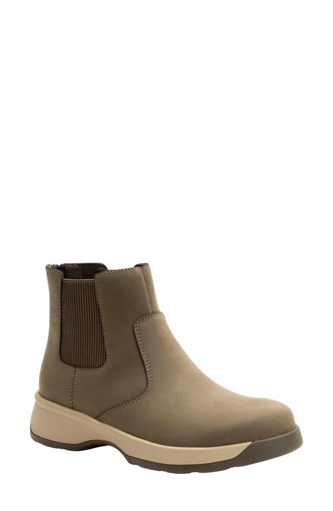 Alegria by PG Lite Chelsea Boot in Driftwood Cover