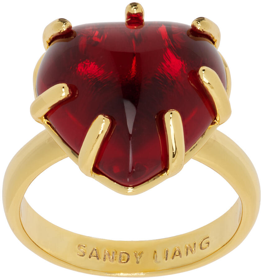 Sandy Liang Gold Treasure Ring Cover