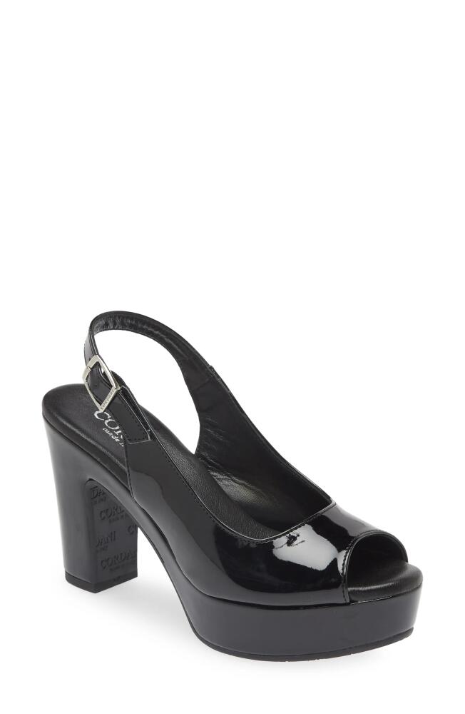 Cordani Tyler Peep Toe Slingback Pump in Vernice Nero Cover