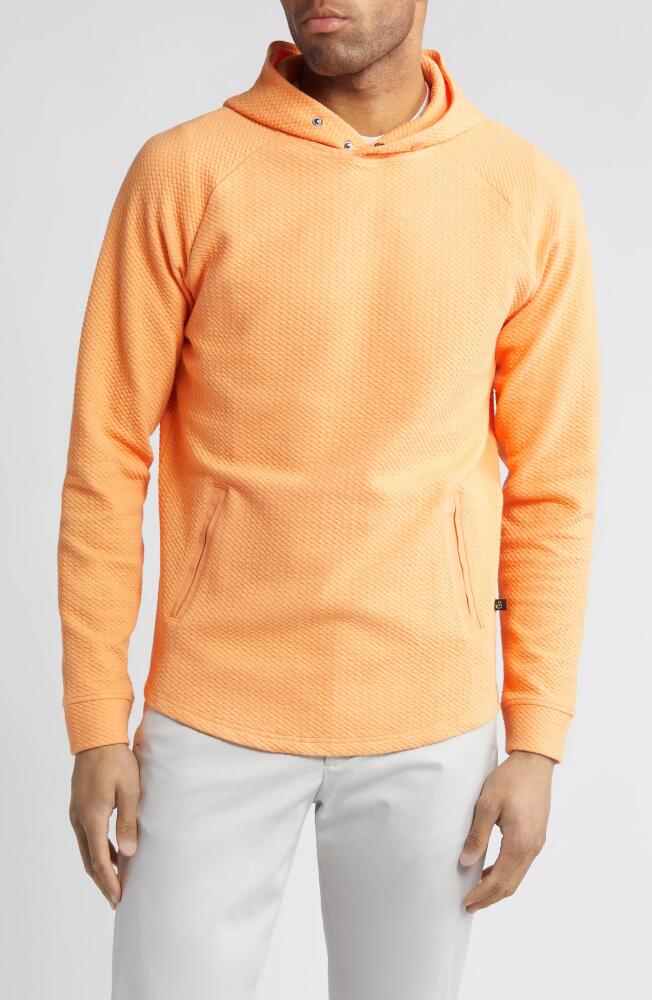 Swannies Camden Hoodie in Orange-Crush Cover