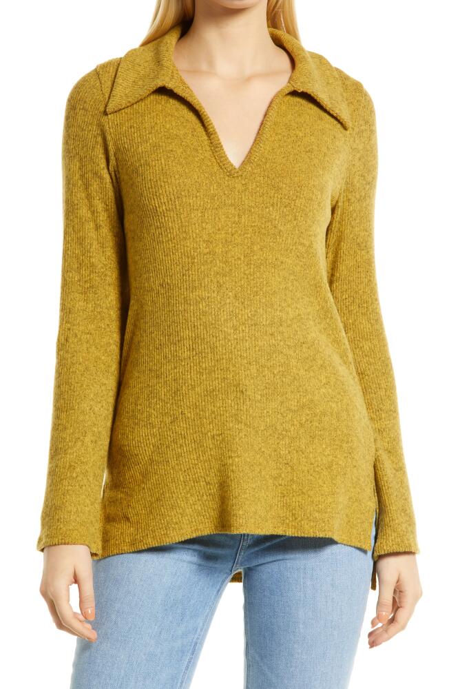 Loveappella Spread Collar Knit Shirt in Mustard Cover