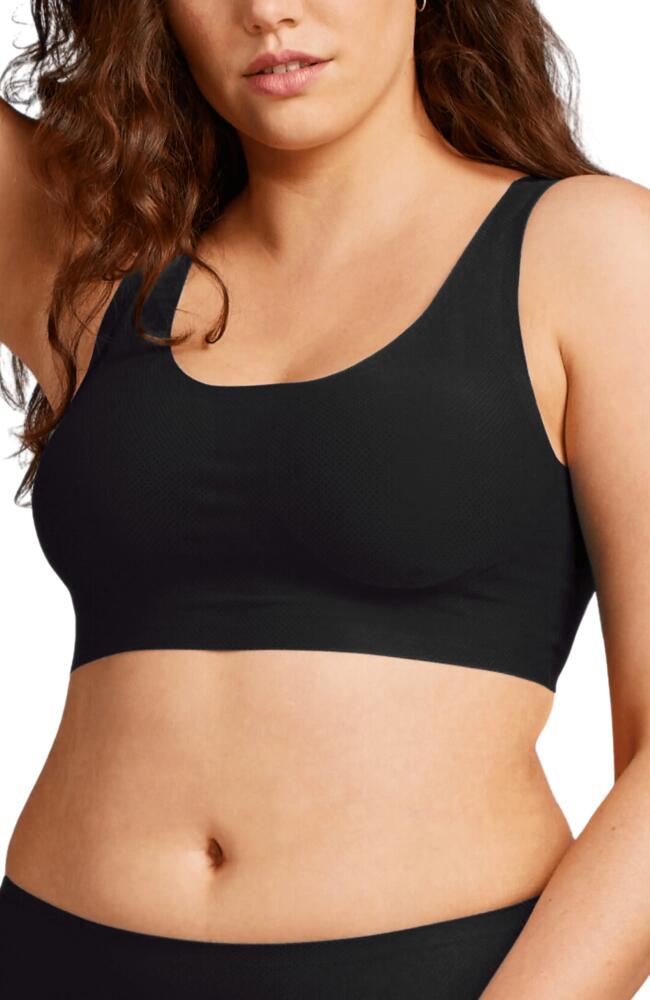 Siella Breathable Scoop Neck Bralette in Black Cover