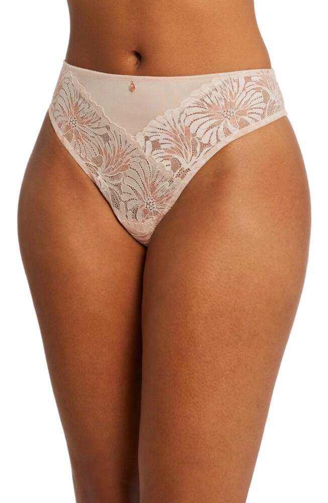 Montelle Intimates Anniversary Thong in Lotus Cover