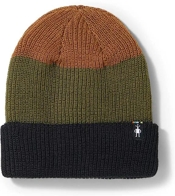 Smartwool Cantar Color-Block Beanie (Winter Moss) Caps Cover