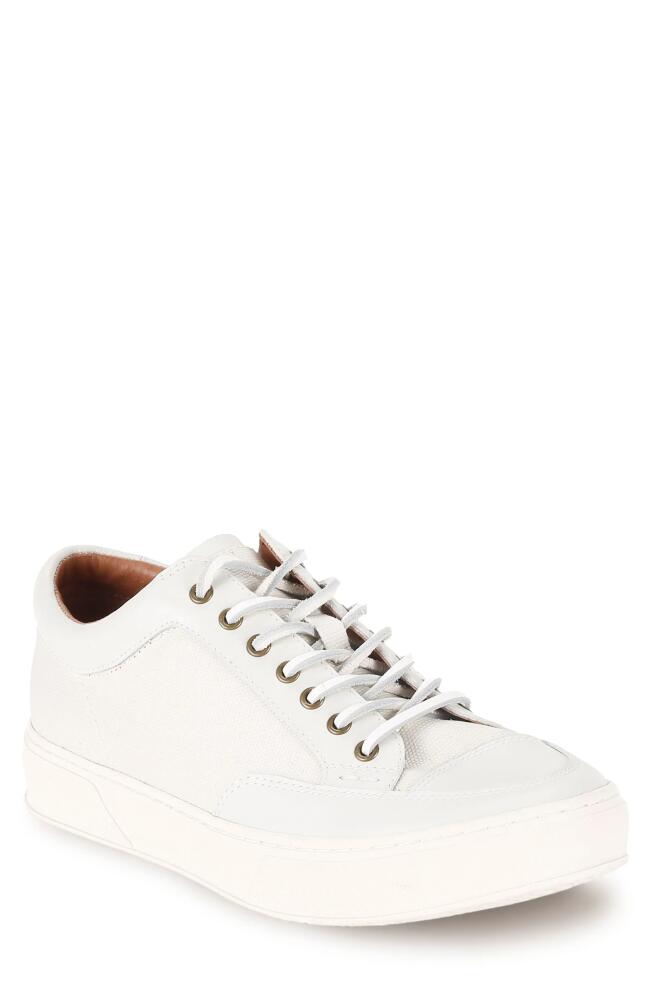 Frye Hoyt Low Water Resistant Sneaker in White - Ruffle Leather Cover