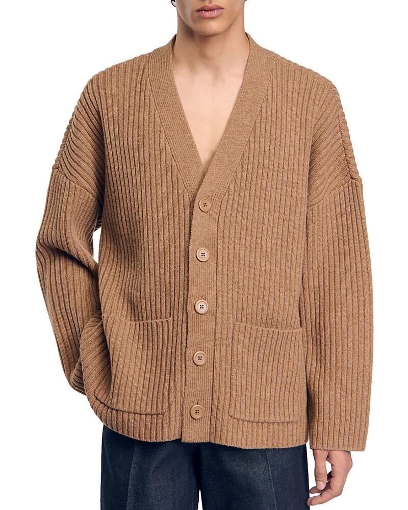 Sandro Daniel Oversized Cardigan Cover