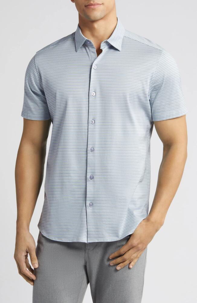 Robert Barakett Gravel Hill Stripe Knit Short Sleeve Button-Up Shirt in Blue Cover