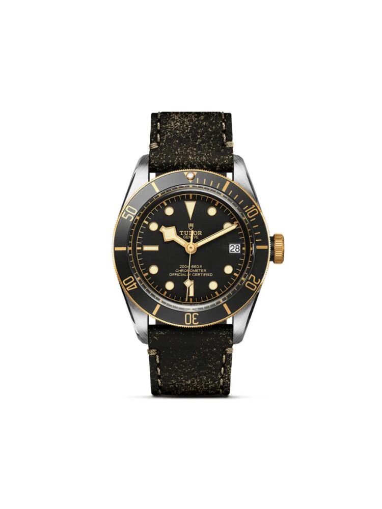 TUDOR Black Bay S&G 41mm Cover