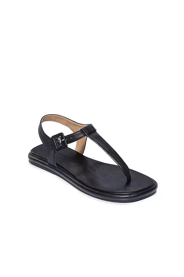 Bernardo Tucson Sandals Cover