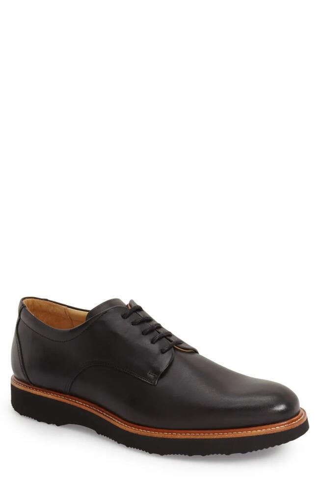 Samuel Hubbard 'Founder' Plain Toe Derby in Black Cover