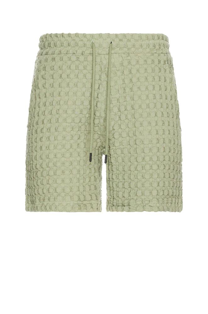 OAS Dusty Green Porto Waffle Shorts in Green Cover