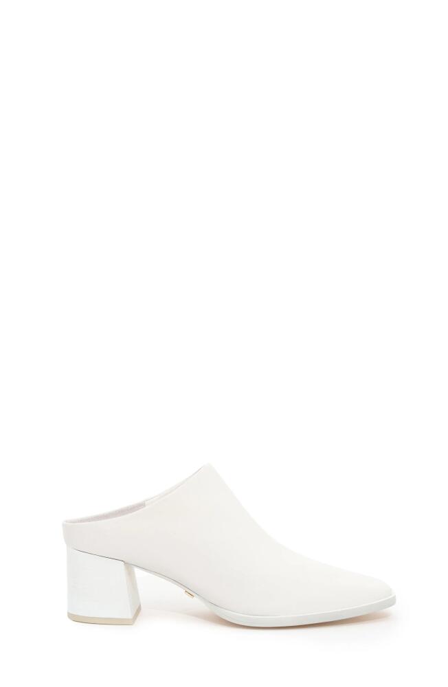 Daniella Shevel Jolene Mule in White Cover