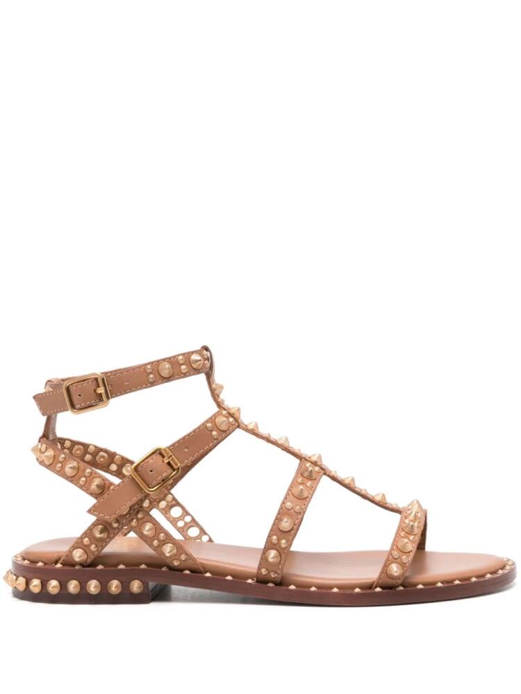 Ash Pepsy flat sandals - Brown Cover