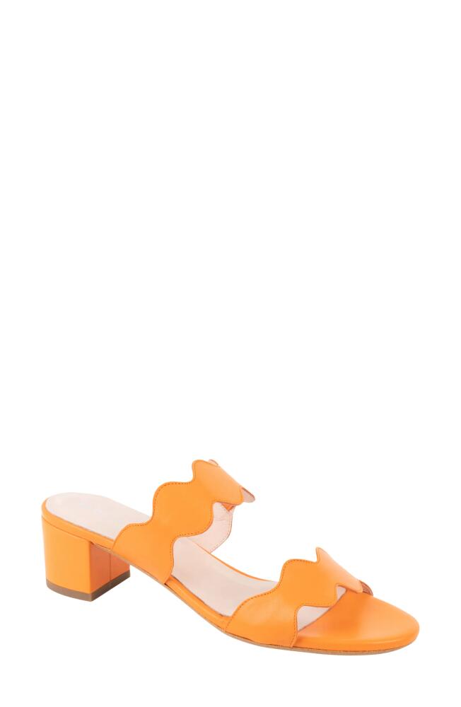 patricia green Palm Beach Slide Sandal in Orange Leather Cover