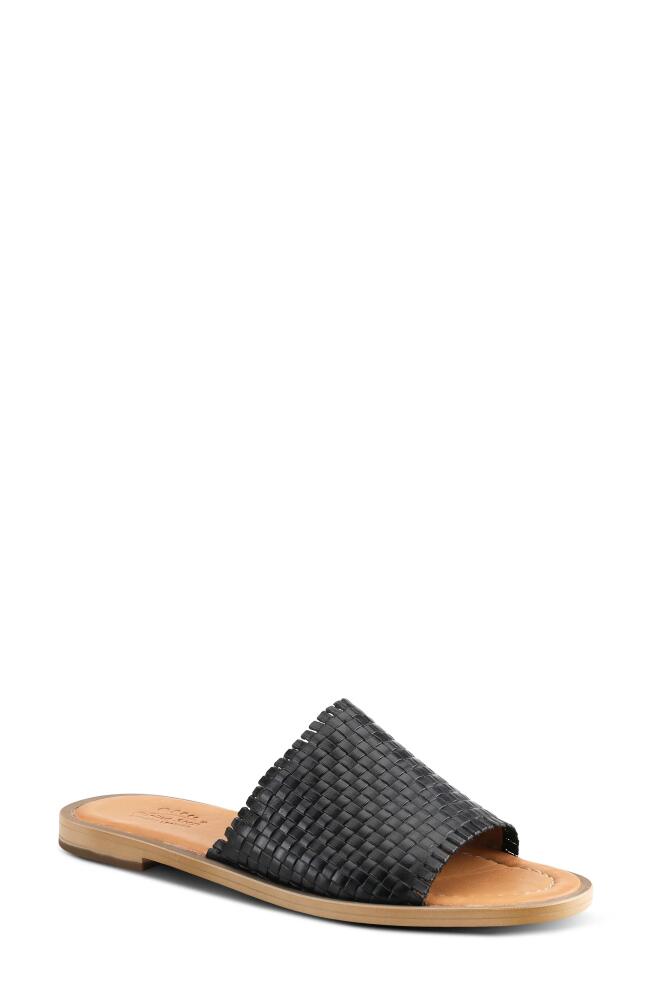 Spring Step Ginosa Slide Sandal in Black Cover