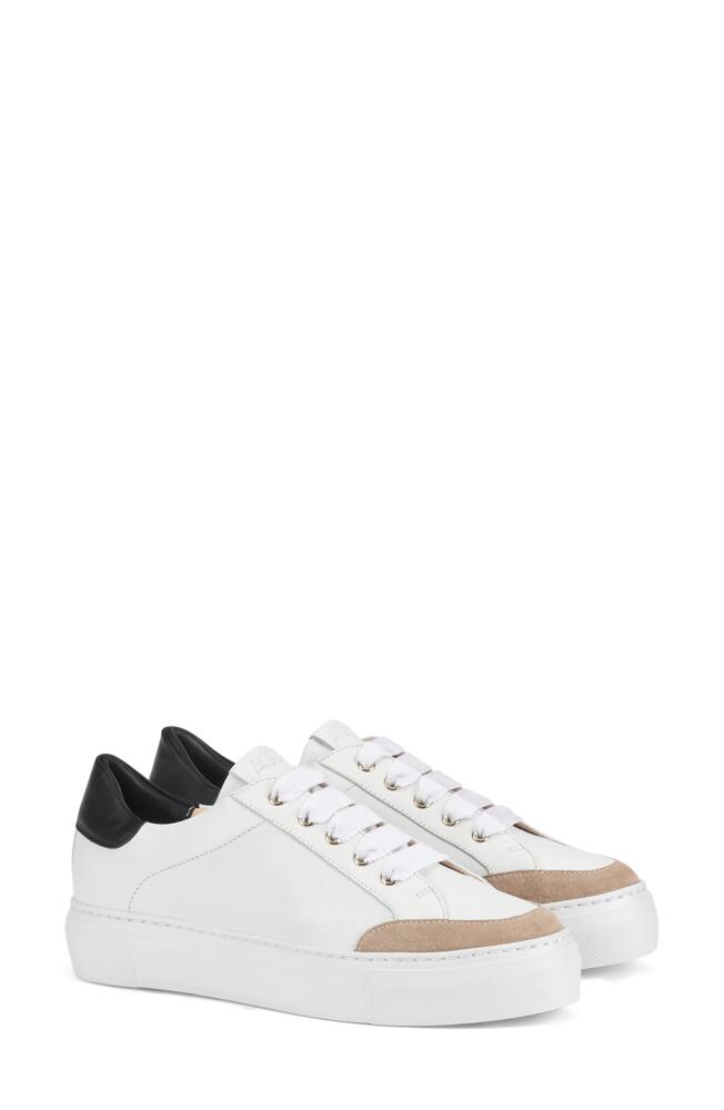 AGL Piera Leather Sneaker in Neutral-White-Nero-White Cover