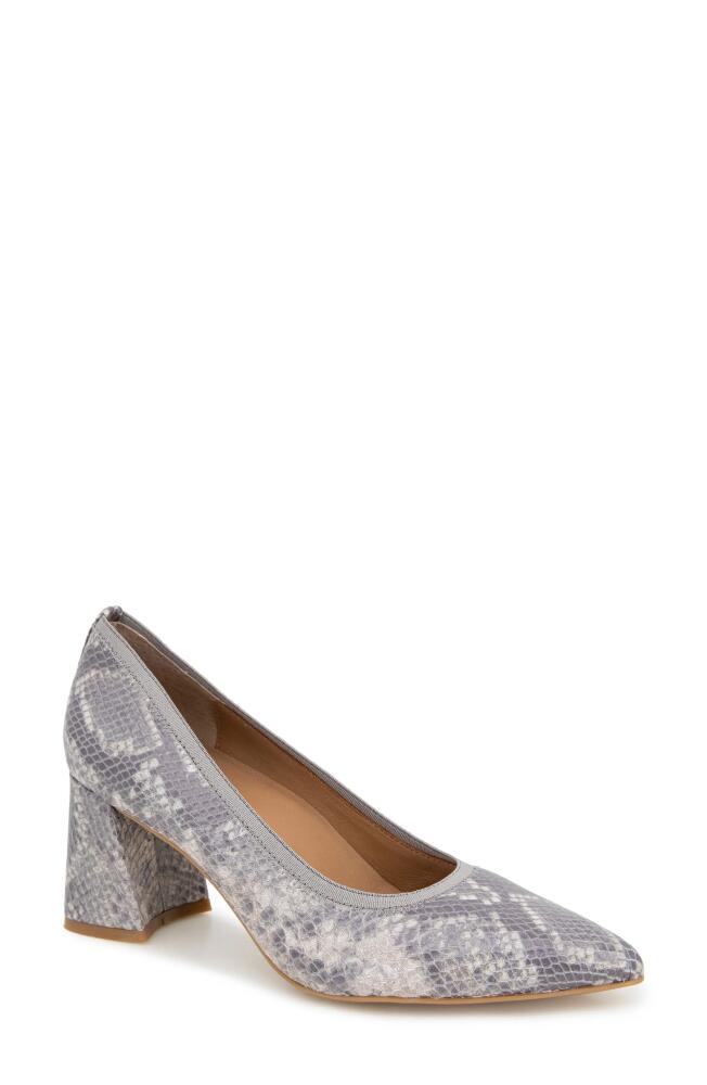 GENTLE SOULS BY KENNETH COLE Dionne Pointed Toe Pump in Taupe Snake Leather Cover