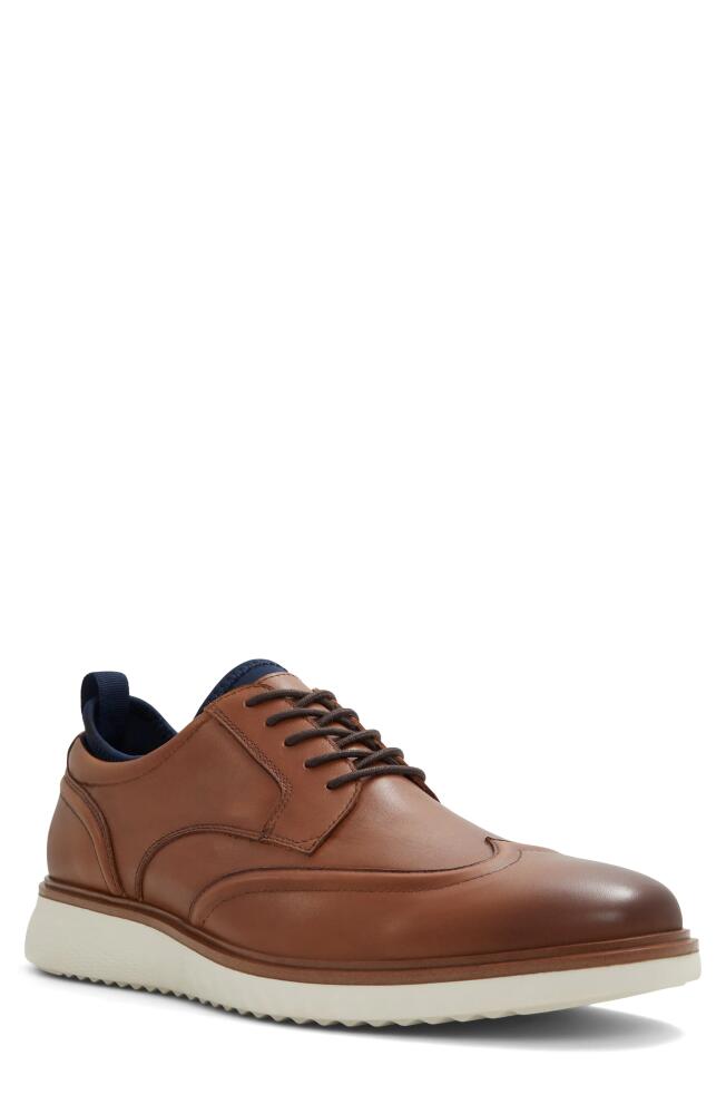 ALDO Wakefield Wingtip Derby in Cognac Cover