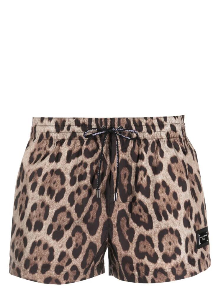 Dolce & Gabbana logo-plaque leopard-print swim shorts - Black Cover