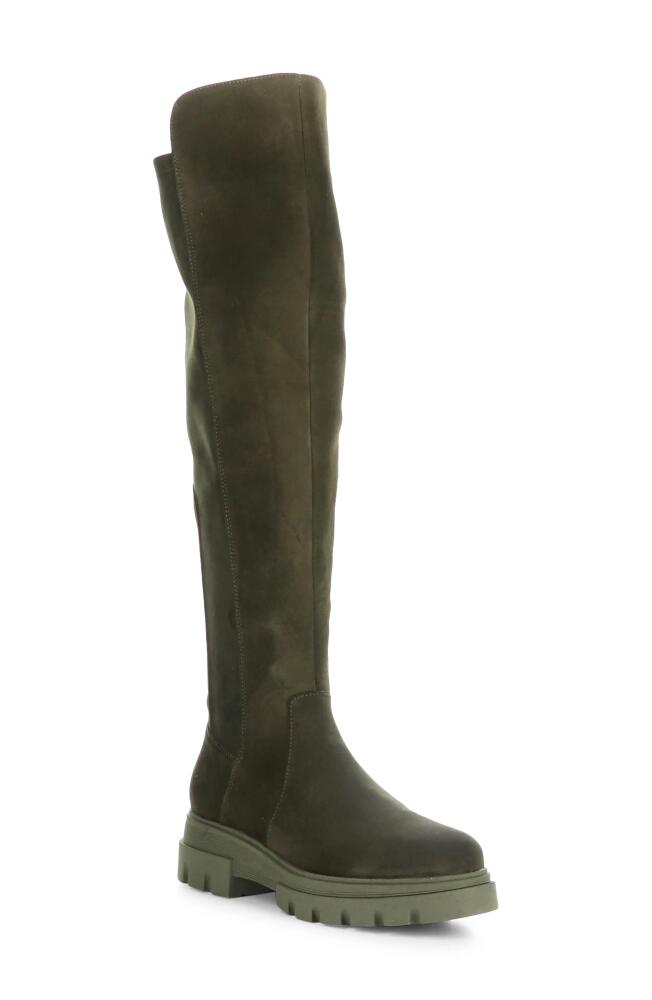 Bos. & Co. Fifth Waterproof Knee High Boot in Olive/Khaki Suede Stretch Cover