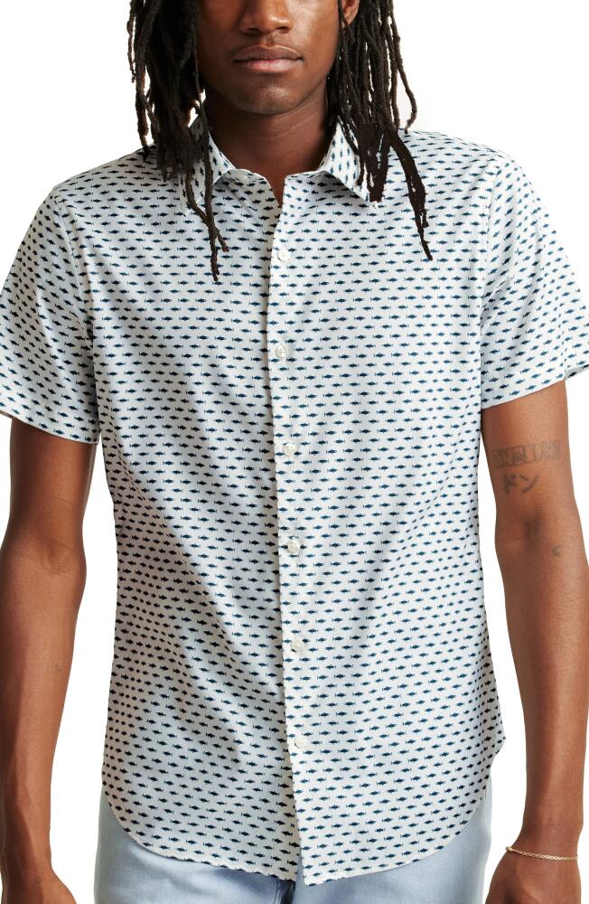 Bonobos Slim Fit Fish Print Short Sleeve Performance Button-Up Shirt in Icarian Fish Cover