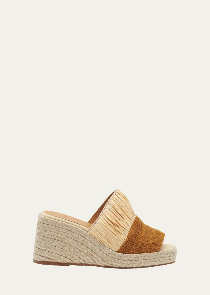 Castaner Tonia Bicolor Raffia Wedge Espadrilles Cover