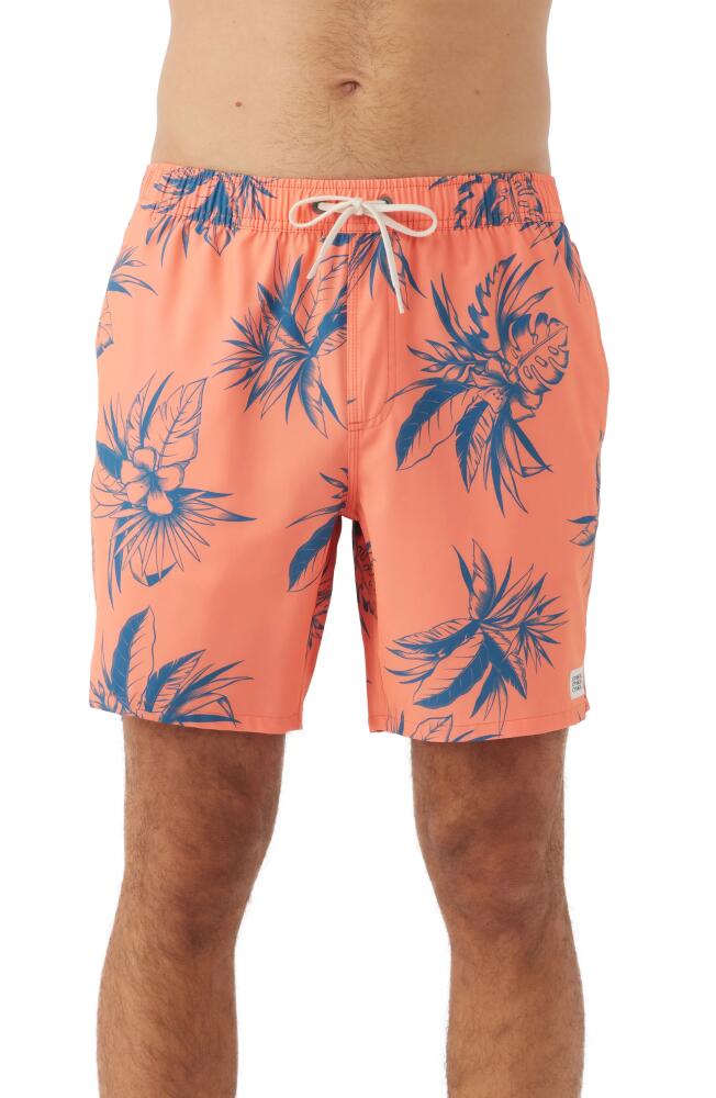 O'Neill Hermosa Board Shorts in Coral 2 Cover