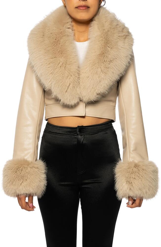 AZALEA WANG Gisele Faux Fur Trim Faux Leather Crop Jacket in Beige Cover