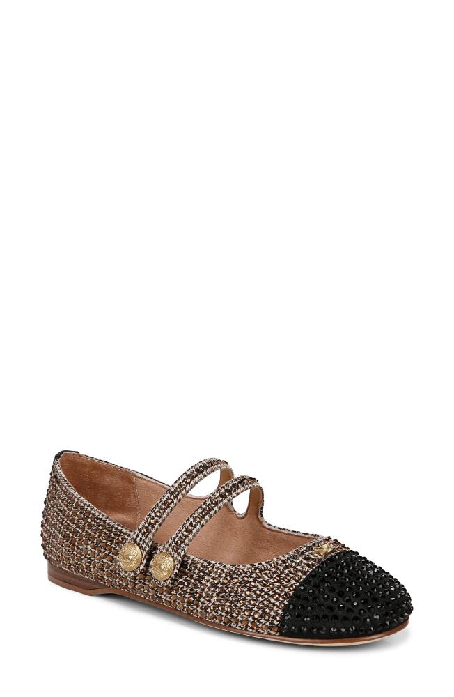 Circus NY by Sam Edelman Zoey Cap Toe Mary Jane Flat in Black Natural Multi/Black Cover