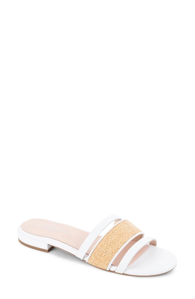 patricia green Amalfi Slide Sandal in White Cover