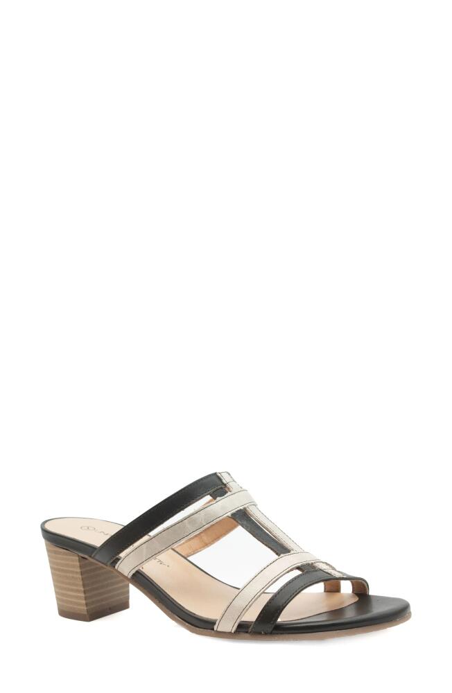 Unity in Diversity Honey Slide Sandal in Tuxedo Cover