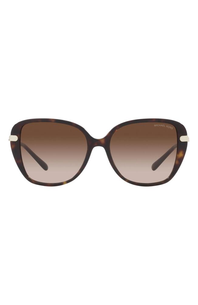 Michael Kors Flatiron 56mm Gradient Square Sunglasses in Dk Tort Cover