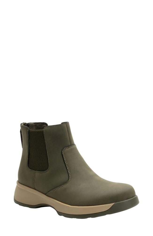 Alegria by PG Lite Chelsea Boot in Oregano Cover