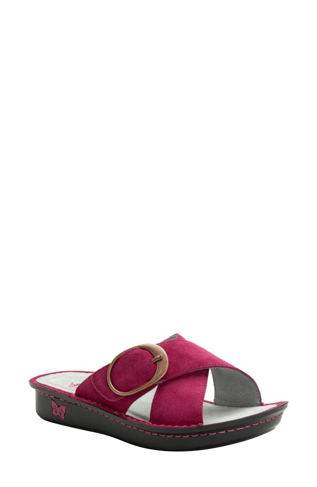 Alegria by PG Lite Vanya Loretta Slide Sandal in Magenta Cover